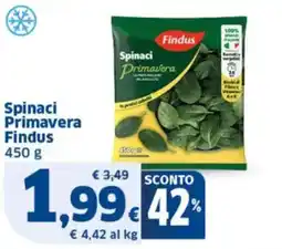 Sigma Spinaci Primavera Findus offerta