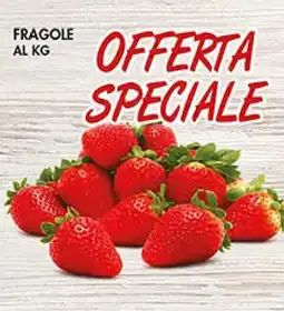 Coal Fragole al kg offerta