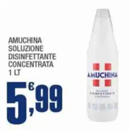 Splendidi e Splendenti Amuchina soluzione disinfettante concentrata offerta