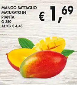 Coal Mango battaglio maturato in pianta offerta