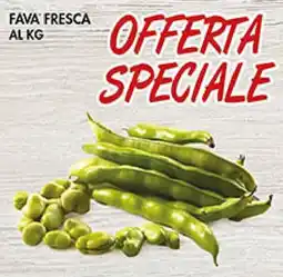 Coal Fava fresca al kg offerta