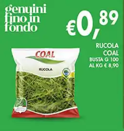 Coal Rucola coal busta offerta