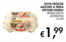 Coal Uova fresche allevate a terra fattore umbro senza uso di antibiotici x 6 pz offerta