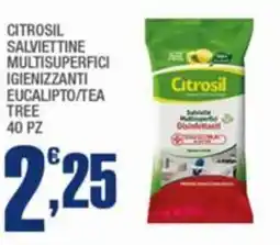 Splendidi e Splendenti Citrosil salviettine multisuperfici igienizzanti eucalipto/tea tree offerta