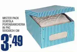 Splendidi e Splendenti Mister pack scatola portabiancheria in pvc offerta