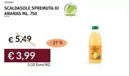 Prezzemolo e Vitale Scaldasole spremuta di ananas offerta
