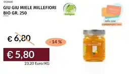 Prezzemolo e Vitale Giu giu miele millefiori bio offerta