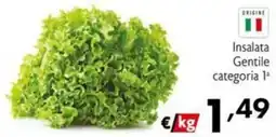 Maxi Supermercati Insalata Gentile offerta