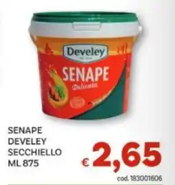 Vivo Supermercati Senape develey secchiello offerta