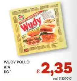Vivo Supermercati Wudy pollo AIA offerta