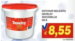 Vivo Supermercati Ketchup delicato develey secchiello offerta