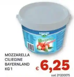 Vivo Supermercati Mozzarella ciliegine BAYERNLAND offerta
