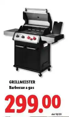 Lidl GRILLMEISTER offerta