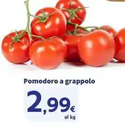 Sigma Superstore Pomodoro a grappolo offerta