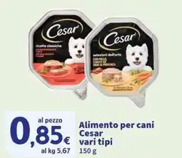 Sigma Superstore Alimento per cani Cesar offerta