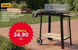 Interspar Barbecue a carbonella offerta