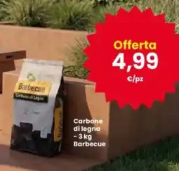 Interspar Carbone di legna offerta