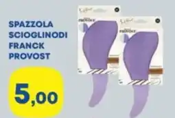 Panorama Spazzola scioglinodi franck PROVOST offerta