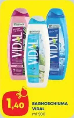 Panorama Bagnoschiuma VIDAL offerta