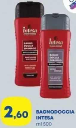 Panorama Bagnodoccia INTESA offerta