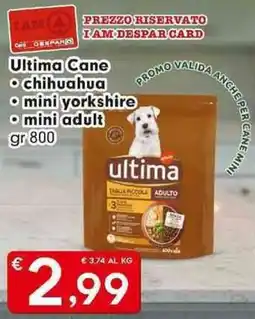 DeSpar Express Ultima Cane, chihuahua, mini yorkshire, mini adult offerta