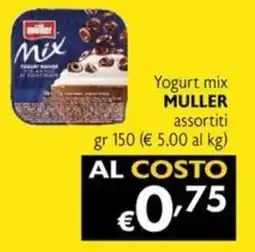 Maxi Supermercati Yogurt mix MULLER offerta