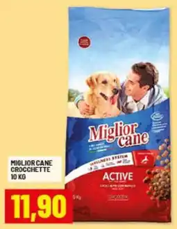 Risparmio Casa Miglior cane crocchette offerta