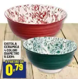Risparmio Casa Ciotola ceramica 4 colori diametro offerta