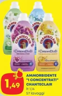 Panorama Ammorbidente "i concentrati" CHANTECLAIR offerta