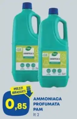 Panorama Ammoniaca profumata PAM offerta