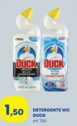 Panorama Detergente wc DUCK offerta