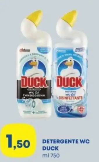 Panorama Detergente wc DUCK offerta
