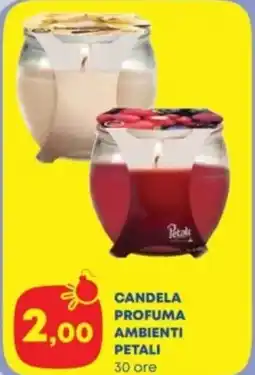 Panorama Candela profuma ambienti PETALI offerta