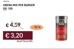 Prezzemolo e Vitale Ubena mix per burger offerta