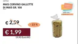 Prezzemolo e Vitale Mais corvino gallette di mais offerta