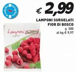Coal Lamponi surgelati fior di bosco offerta