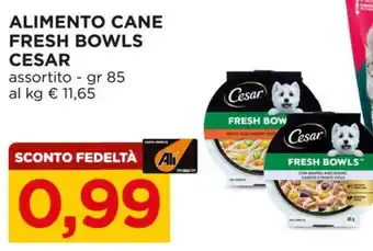 Alimento cane fresh bowls CESAR