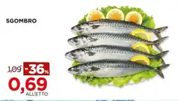 Alì Supermercati Sgombro offerta