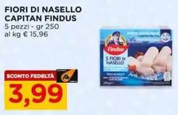 Alì Supermercati Fiori di nasello CAPITAN FINDUS offerta