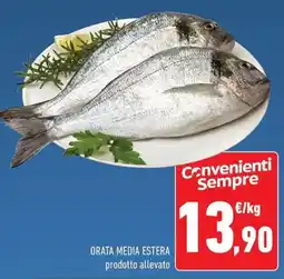 Conad Orata media estera offerta