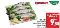 Conad Trota salmonata CONAD PERCORSO QUALITÀ offerta