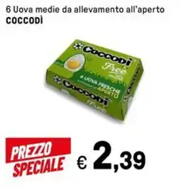 Iper La Grande 6 Uova medie da allevamento all'aperto COCCODÌ offerta