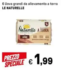Iper La Grande 6 Uova grandi da allevamento a terra LE NATURELLE offerta