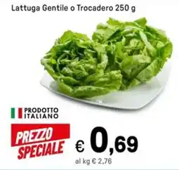Iper La Grande Lattuga Gentile o Trocadero offerta