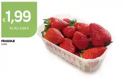 Ekom Fragole offerta