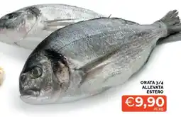 Mercatò Orata 3/4 allevata estero offerta