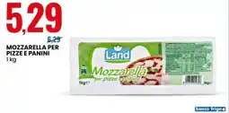 Eurospin Land mozzarella per pizze e panini offerta