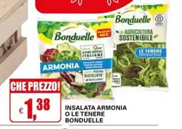 Il Gigante Insalata armonia o le tenere bonduelle offerta