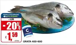 Il Gigante Orata 400-600 offerta