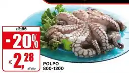 Il Gigante Polpo 800-1200 offerta